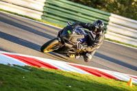 Evening Low_Mid Group Black Bikes